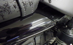 TRIUMPH SCRAMBLER 900 2025