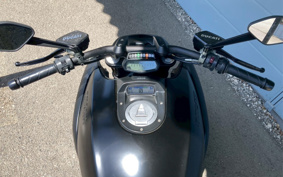 DUCATI DIAVEL 2013 ZDMG102JCDB