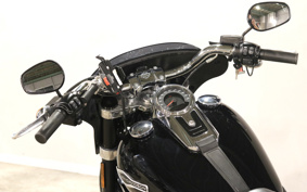 HARLEY FLSB 2019 YMJ