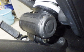 TRIUMPH SCRAMBLER400X 2024