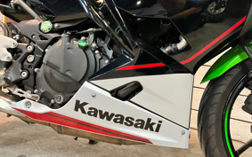 KAWASAKI NINJA 400 2022 EX400G
