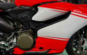 DUCATI 1199 SUPER REJJE-RA 2015 ZDMH808JAEB