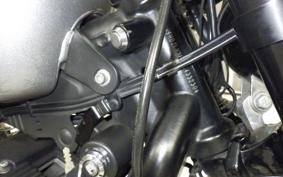 HARLEY XL1200CX 2016