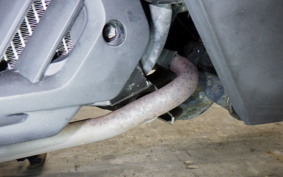 HONDA LEAD 125 2018 JF45