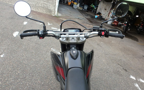 YAMAHA WR250X DG15J