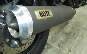 HONDA REBEL 250 S MC49