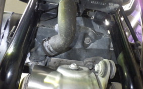 TRIUMPH SPEED TWIN 900 2023