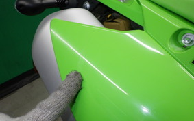 KAWASAKI KLX230S 2010 LX232A