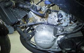 YAMAHA TZR50R
