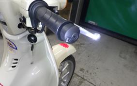 HONDA C110 SUPER CUB