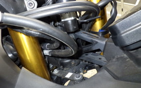 YAMAHA YZF-R15M