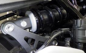 KAWASAKI Z900RS 2025 ZR900K