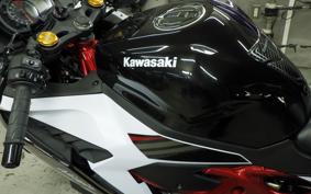 KAWASAKI ZX-25R ZX250E