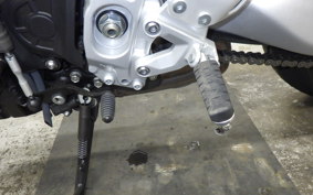 YAMAHA XSR900 GP 2024 RN96J