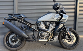 HARLEY PAN AMERICA 1250 SPECIAL 2025 ZES