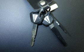 KAWASAKI NINJA 1000 SX 2024 ZXT02K