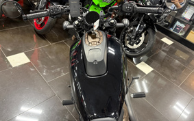 HARLEY RH1250S 2022 ZC4