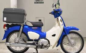 HONDA C110 SUPER CUB 2024 JA44