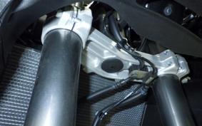 KAWASAKI NINJA 1000SX 2024 ZXT02K