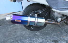 SUZUKI SKYWAVE 250S-1 CJ43A