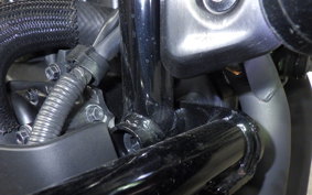 HONDA REBEL 1100 DCT 2021 SC83