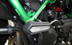 KAWASAKI ZH2 SE 2008 ZRT00R