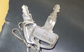 HONDA GYRO CANOPY 2024 TA03