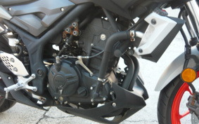 YAMAHA MT-25 RG43J