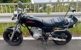 HONDA APE 50 AC16