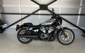 HARLEY RH975S NIGHT STAR 2024 ZF1