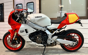 YAMAHA XSR900 GP 2024 RN96J
