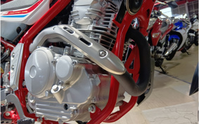 YAMAHA TOURING SEROW 250 FINAL ED DG31J