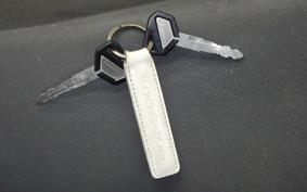 KAWASAKI KLX250 2015 LX250E