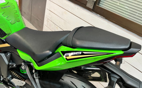 KAWASAKI NINJA ZX-6R 2020 ZX636G