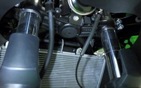 KAWASAKI NINJA 650 A 2025 ER650S