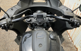 HARLEY FXLRST 2025 YXZ