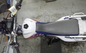 YAMAHA TT250R RAID 4GY