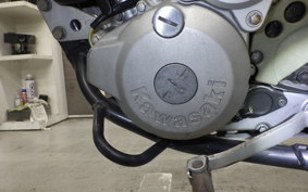 KAWASAKI KLX250 LX250E