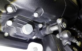 OTHER +ENFIELD ﾋﾏﾗﾔﾝ 2022