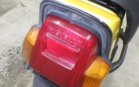 HONDA SQUASH 2021 AB11