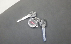 YAMAHA X FORCE 1999 SG79J