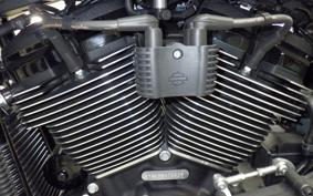HARLEY FXLRS1870 2021