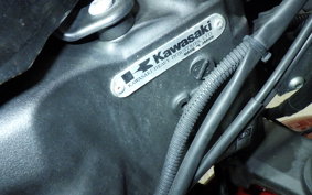 KAWASAKI NINJA 1000 2014