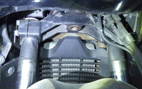 SUZUKI SKYWAVE 250 (Burgman 250) S 2 CJ43A