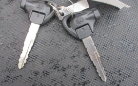 YAMAHA CYGNUS125XSR SE44J