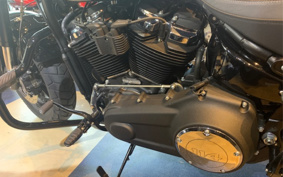 HARLEY HARLEY FXFBS 2019 YLK