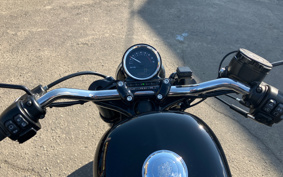 HARLEY XL1200CX 2021 LM3