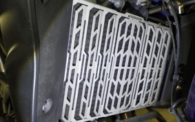 TRIUMPH TIGER 800 2012