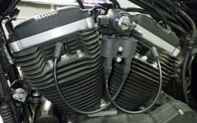 HARLEY XL883N 2017
