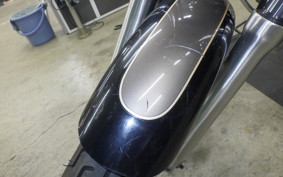 YAMAHA VIRAGO 250 2021 3DM